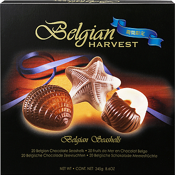 チョコレートシーシェル